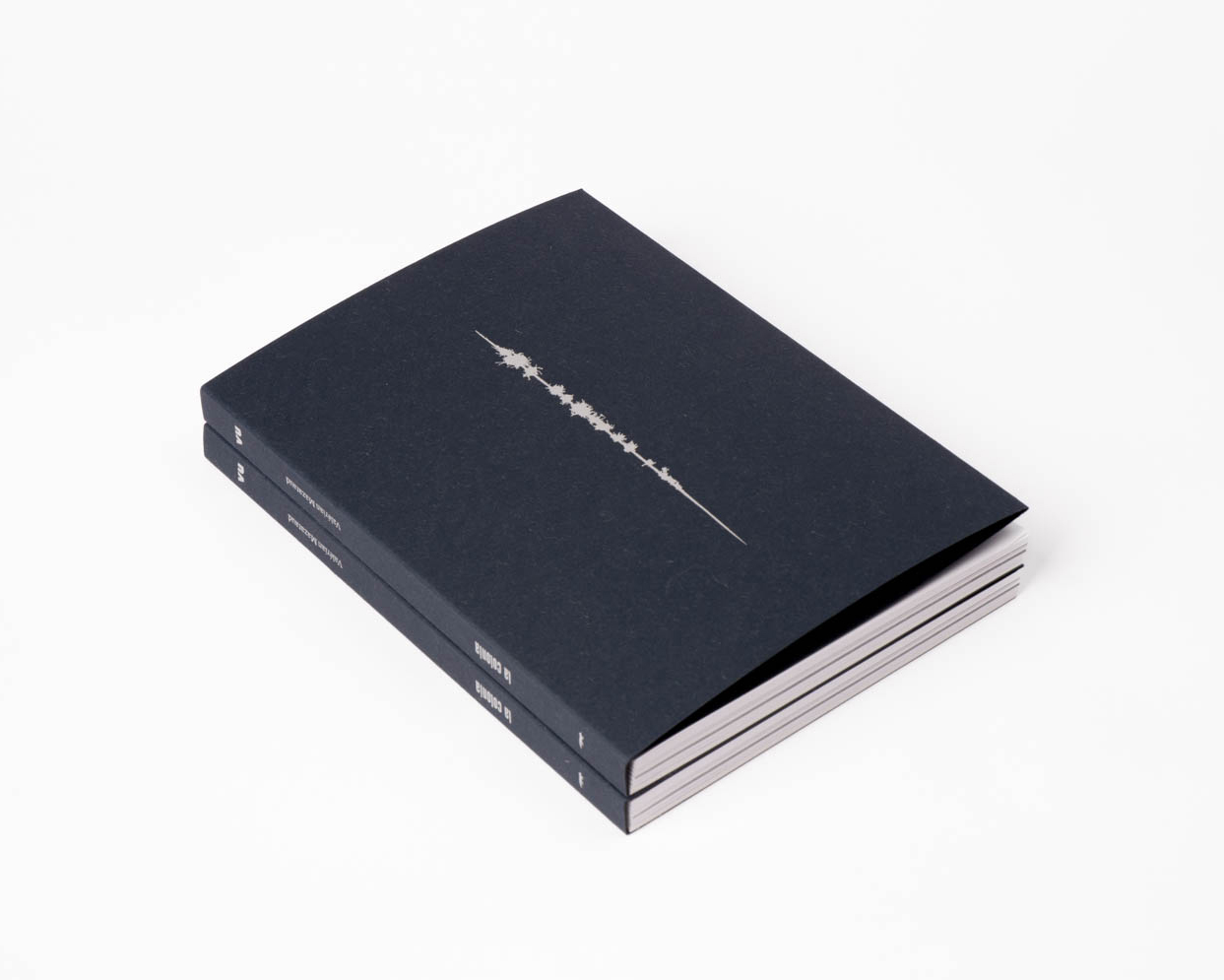 La colonia – Valérian Mazataud – Prévente