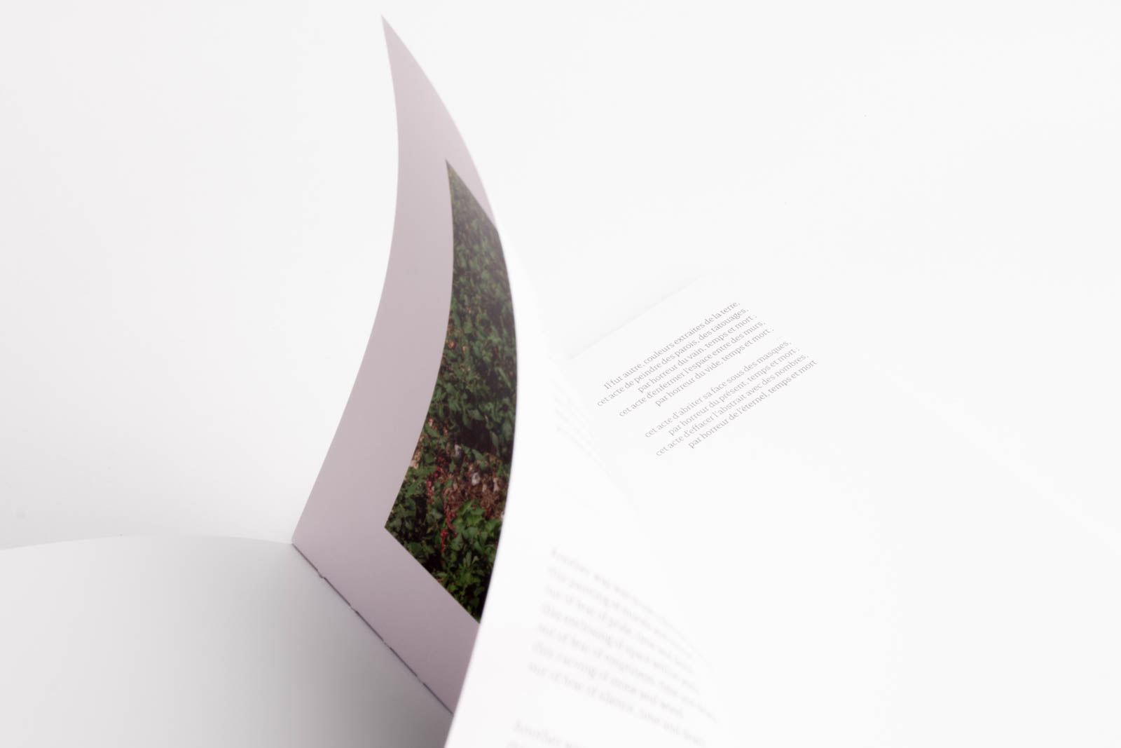 colonia_documentation_img-022