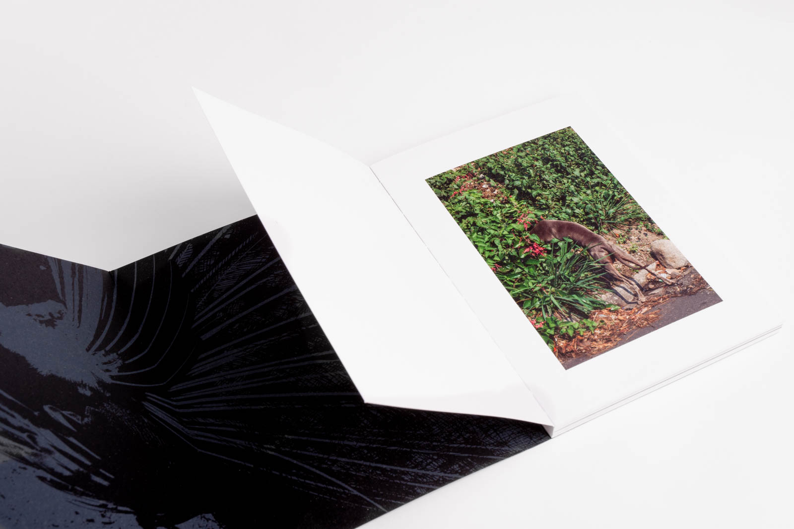 colonia_documentation_img-024