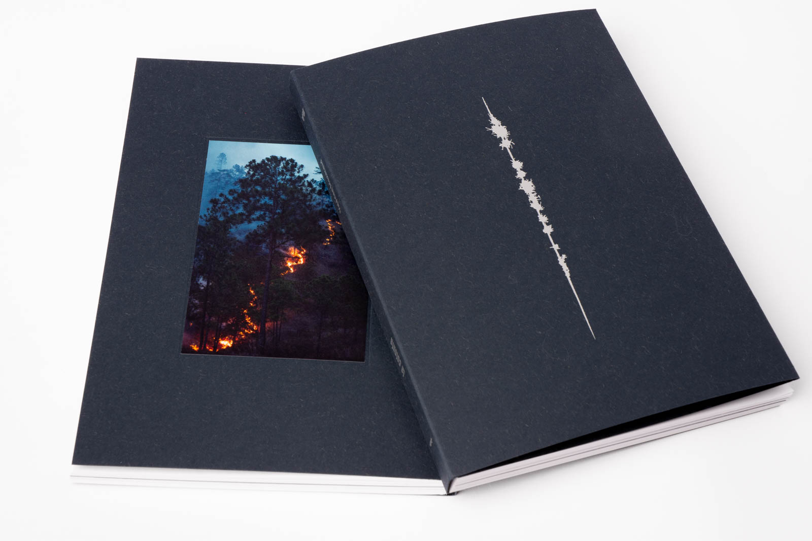 colonia_documentation_img-056